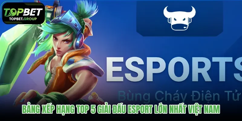 bang-xep-hang-top-5-giai-dau-esport-lon-nhat-viet-nam bang-xep-hang-top-5-giai-dau-esport-lon-nhat-viet-nam