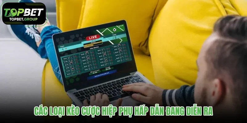 cac-loai-keo-cuoc-hiep-phu-hap-dan-dang-dien-ra cac-loai-keo-cuoc-hiep-phu-hap-dan-dang-dien-ra