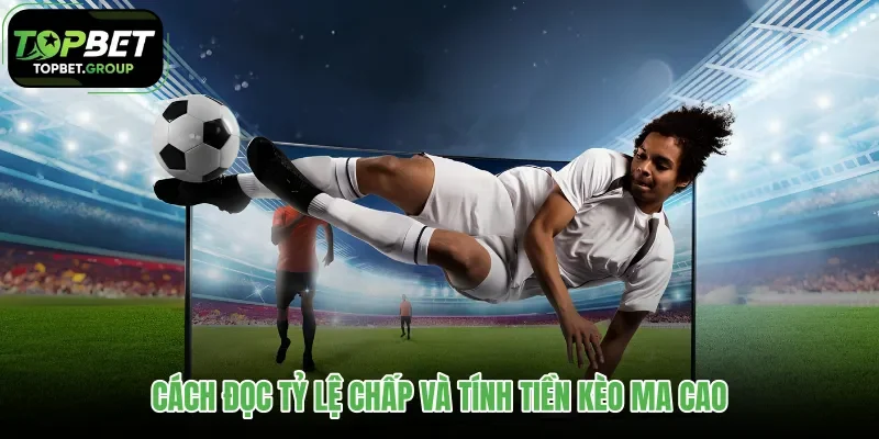 cach-doc-ty-le-chap-va-tinh-tien-keo-ma-cao cach-doc-ty-le-chap-va-tinh-tien-keo-ma-cao