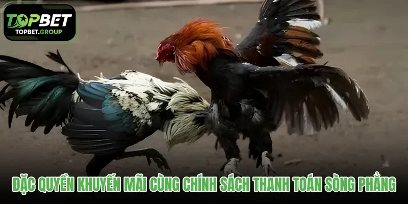 dac-quyen-khuyen-mai-cung-chinh-sach-thanh-toan-song-phang