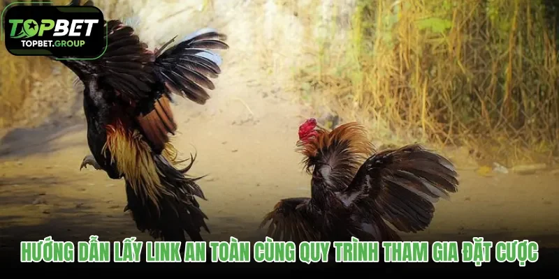 huong-dan-lay-link-an-toan-cung-quy-trinh-tham-gia-dat-cuoc