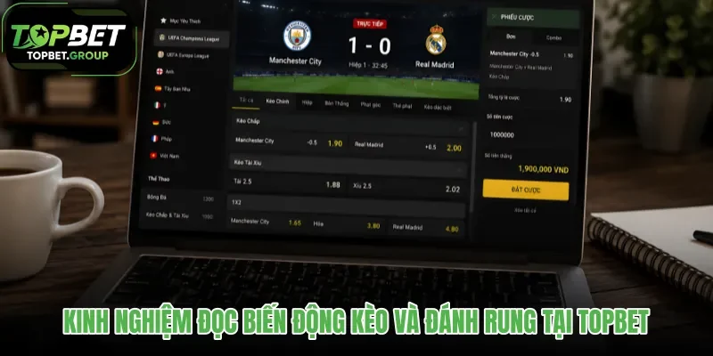 kinh-nghiem-doc-bien-dong-keo-va-danh-rung-tai-topbet